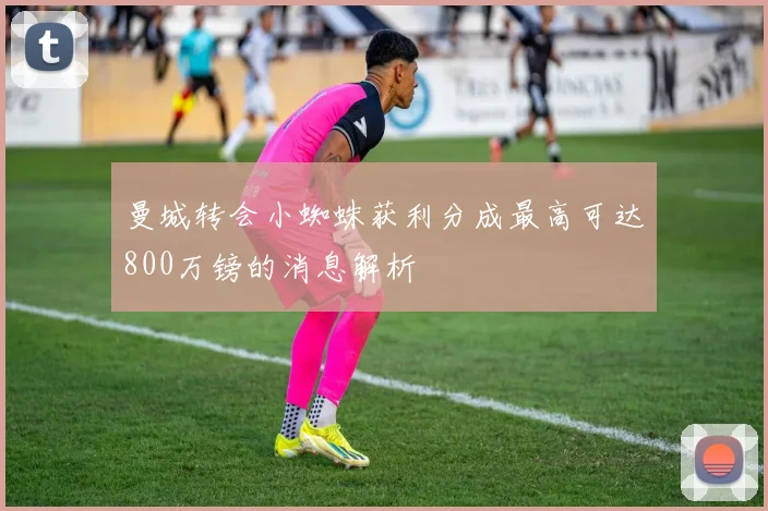 曼城转会小蜘蛛获利分成最高可达800万镑的消息解析