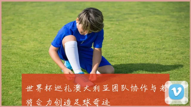 世界杯巡礼澳大利亚团队协作与老将合力创造足球奇迹